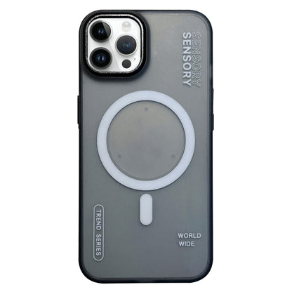 Frosted Metal Lens Protection Frame MagSafe Phone Case