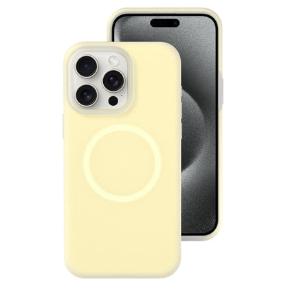 Jelly Liquid Silicone MagSafe Magnetic Phone Case